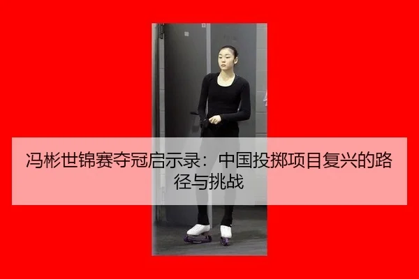 feng-bin-shi-jin-sai-duo-guan-qi-shi-lu-zhong-guo-tou-zhi-xiang-mu-fu-xing-de-lu-jing-yu-tiao-zhan-3-694.jpg